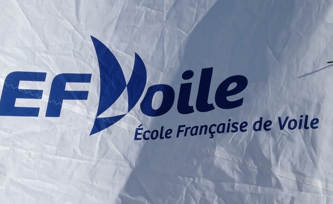 EFVlogovoile