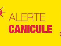 CANICULE